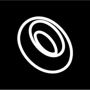 24 OVAL SAVARINS 8X6X2,5CM 60X40CM FLEXIPAN