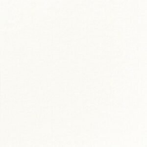 Napkin white non-woven 20x20 cm Airlaid Duni (180 units)