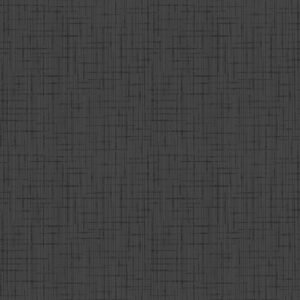 Napkin black non-woven 40x40 cm Dunilin Duni (45 units)