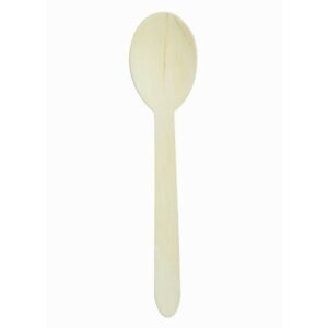 Pack of 100 teaspoons Earth Essentials (100 units)