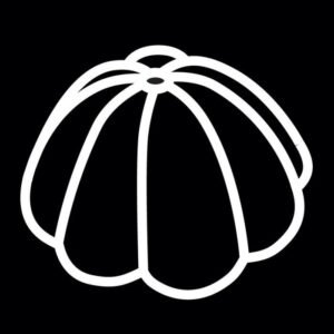 18 CHARLOTTE 8X4CM 60X40CM FLEXIPAN