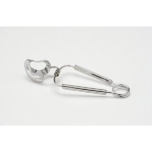 Snail tongs stainless steel 18/10 16 cm