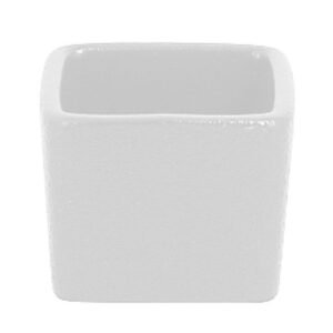 SQUARE DISH SQUARE L5 X W5 X H4CM PORCELAIN NEOFUSION RAK PORCELAIN
