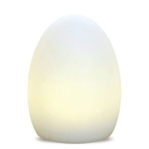 UOVO TABLE LAMP LED MULTICOLOR W/REMOTE CONTROL & CHARGING BASE Ø14CM H20CM